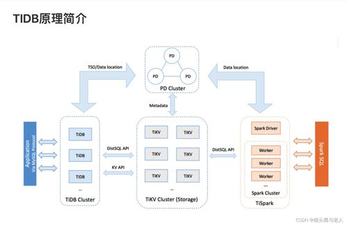 TiDB架構解析 數據處理與存儲服務的核心特性